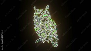 4K video animation of beautiful texture or pattern formation on the owl body shape, isolated on a black background. 3d rendering abstract loop animation neon lighting effect on an owl.