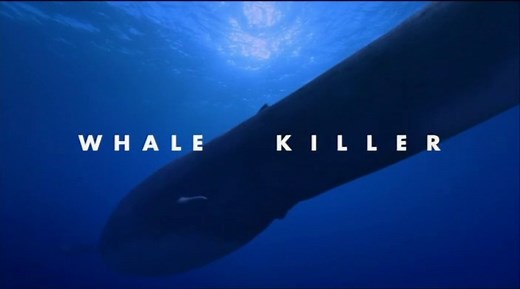 Walking With Beasts - Ep 2 Whale Killer (2001) [576p]