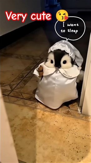 Cutest Little Penguins Ever 🐧 | Adorable #viral #cute
