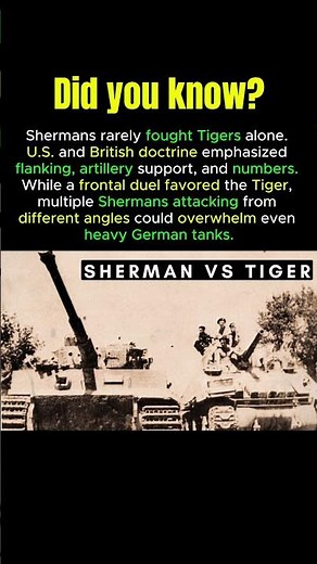 How Sherman Tanks Defeated Tigers in WWII | #shermantank #tigertank #ww2tanks