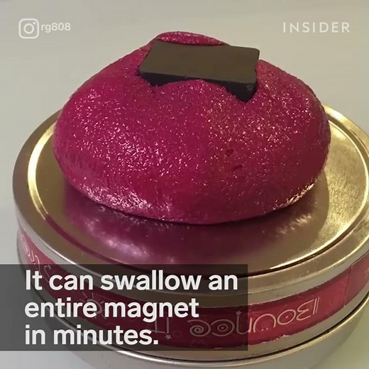 How This Magnetic Slime Eats Objects Whole