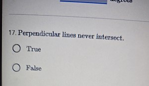 Statement:Perpendicular lines never intersect.TrueFalse... | Filo