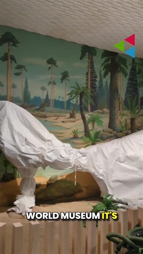 This weekend will see World Museum reopen its iconic dinosaur gallery after a fresh new redesign 🦕 The gallery brings together objects from World Museum's botany, geology, entomology and zoology collections while dinosaurs remain at the heart of the experience. The gallery will be open to the public from Saturday 14th February! | The Guide Liverpool