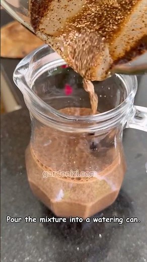 ☕🥚 Coffee Grounds + Eggshells | Powerful Gardening Hack for Tomatoes 🌱🍅