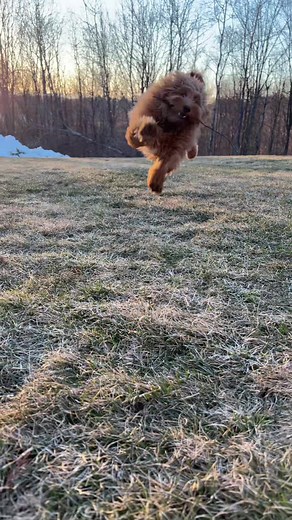 brodywdoodle on TikTok