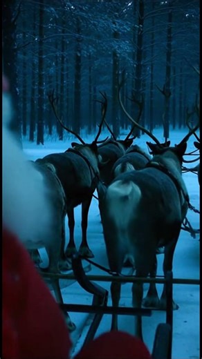 Wolves Attacking Santa