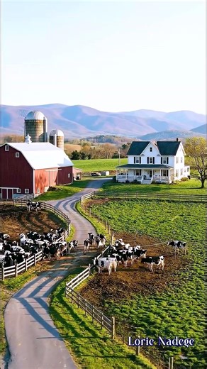 Red barns Pure perfection,Vermont