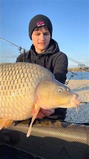 😱 Something like this does NOT happen every day... watch until the end‼️#fishing #carpfishing #carp