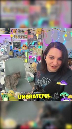 When your cat crashes your twitch stream 🥰 - d3MoGames