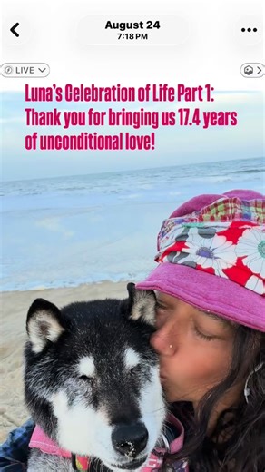 Luna Celebration of Life Photo Album Part One: To know Luna was to love her! She was a friendly but regal dog. She was open to love at all times. She supported all of us in musical endeavors and even slept under the piano while I performed concerts. She patiently waited for me to teach music classes or to write my dreams in my books for hours in the coffee shop- and then we would walk for hours around town. We went on many adventurea...upstate to studio sessions, to the Jersey Shore, on tour to
