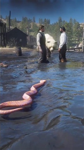 Survival Skills vid1233