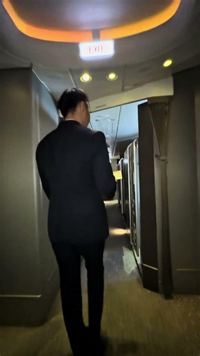 Singapore Airlines Suites with a special companion #singaporeairlines #firstclass #suites