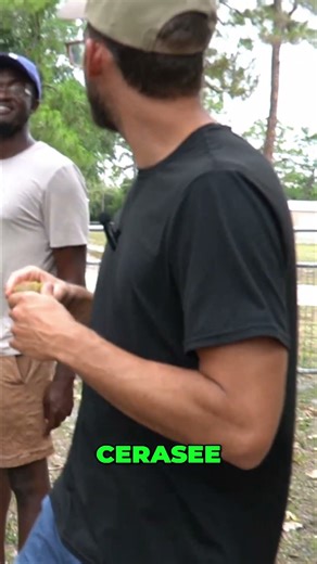 Cerasee: Jamaica's Natural Remedy for Everything #shorts