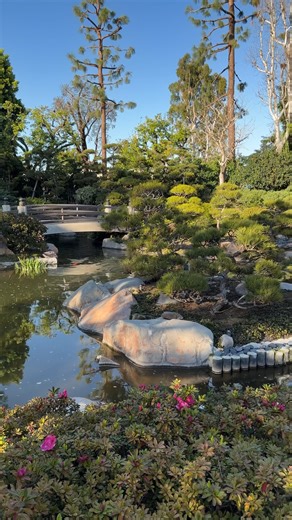 Do you love alone time? We've got some ideas for a perfect solo day in Long Beach, including peaceful escapes like the El Dorado Nature Center and the Japanese Garden, to great local hangs like the Cool Cat Collective and Library Coffee House! | Visit Long Beach