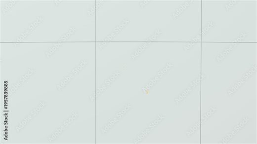 British Indian Ocean Territory map. Animated zoom into the country on the Globe in Pale Mint Dark Pink color palette. Country logo animation with round text and airplanes.