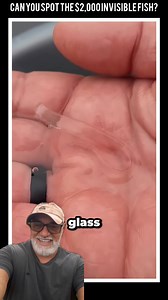 2.2K views | Can You Spot the $2,000 Invisible Fish? #reelsvideoシ #fypシ #reelsviralシ #reelsfypシ | Boyaks Recipes | Facebook