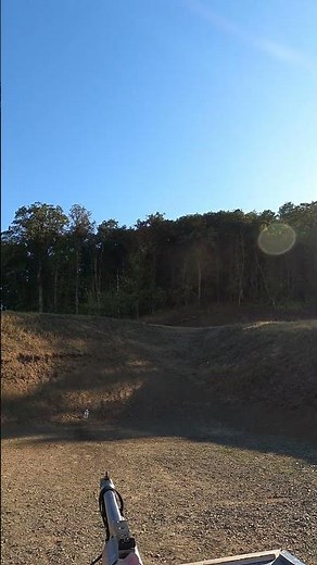 230 grain 500 Bushwhacker POV