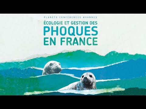 Planète conférences - Écologie et gestion des phoques en France
