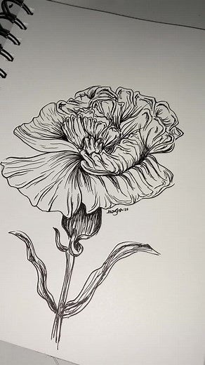 Quick flower sketch 🤗 #fyp #foryoupage #artist #art #flower #nature