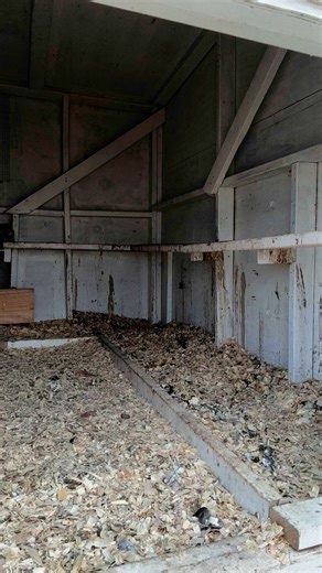 Chicken Schmidt Farms on Instagram: "Now that the coop is clean we can get started with treatment! We use 9ml of elector psp per gallon of water in our sprayer to treat the coop and in the tub to soak the birds feet. #chickenschmidtfarms #backyardchickens #chicken #homestead #electorPSP #legmites #mites #chickens #coop #coopcleaning #cleaning"