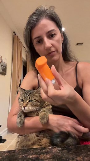 13M views · 122K reactions | Cat with asthma ‍⬛ We used the inhaler after an asthma attack. Jolie is so cute  She’s a very good girl  #asthma #felineasthma #catlover #cat #catmom #inhaler | cat_jolie_ | Facebook