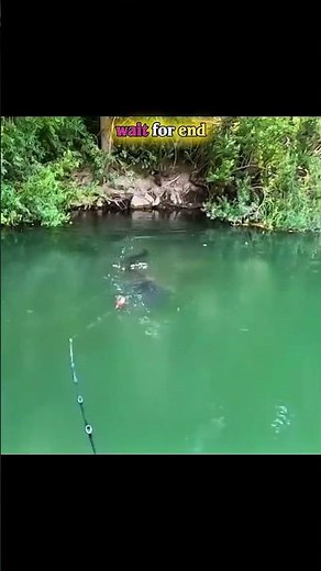Man Catches Huge Fish 😱 | Troll Face Moment