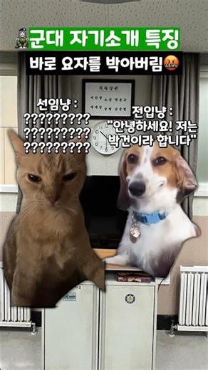 군대 자기소개 특징 #shorts #군대
