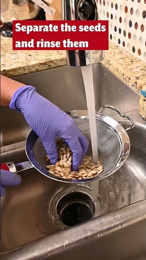 Roasted Butternut Squash Seeds - STAR Cooking