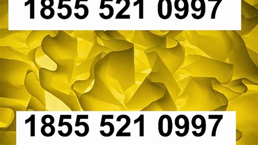 Complete U.S. User Guide to TOTAL AV Support Options (2025)