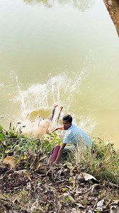 481K views · 5.4K reactions | Ki bhoi paisa re bhai #foryouシ #hilights #shokingvideo #funnyreelsvideo #viewersfriendsfollowersnonfollowers | Sadek Ali | Facebook