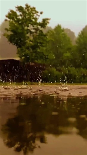 💧 Summer Rain 💧 #natureart #rain #summerrain #reflection #relax #myart #моекино #cinematic #love