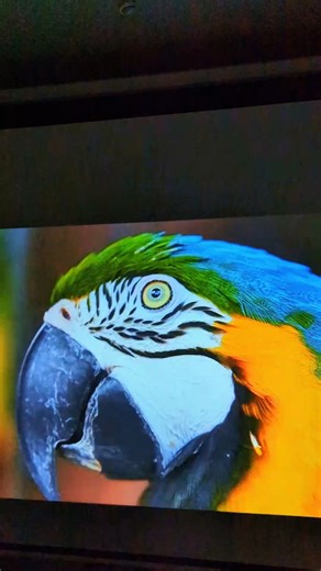 Tech 4 Style on Instagram: "📞 03222150361 | 03212433749 📍 Office 1008, 10th Floor, Al Najeebi Electronic Market, Saddar Mobile Market, Karachi 🎬 T13 Pro – Smart Android Projector 💡 High Brightness Display – Crystal-clear visuals even in bright rooms 📺 Up to 200-Inch Screen – Big-screen entertainment for home or office 📱 Android OS Built-In – Enjoy YouTube, Netflix & More 🎤 Voice Remote Support – Control your projector with ease 📶 WiFi + Bluetooth Connectivity – Smooth wireless pairing 🔌