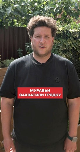 КАК ВЫВЕСТИ муравьёв РАЗ и НАВСЕГДА? #огород #дача #урожай