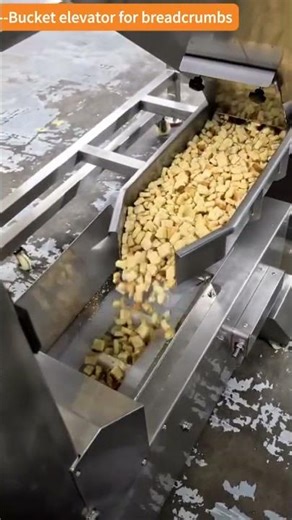 Bucket elevator for breadcrumbs #bucketelevator #conveyorsystems #conveyors #conveyor