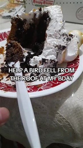 How to Tame a Bird in the Philippines: A Comprehensive Guide