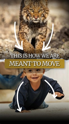 Crawling is the most important developmental stage that forms the fascia. #fascia #health #looks