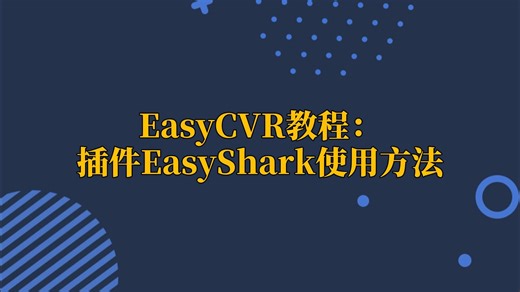 EasyCVR教程：插件EasyShark使用方法