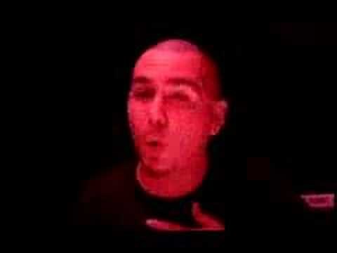 Pitbull - Dammit Man ft. Piccalo [Official Video]