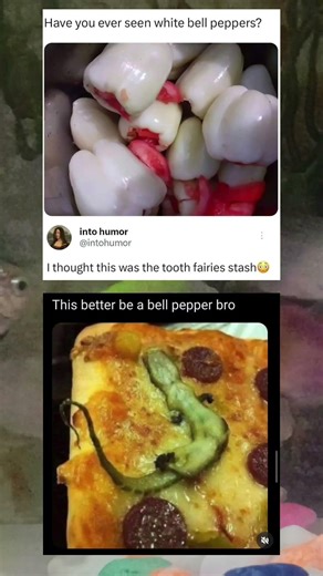 Funny Pizza Fail That Turned Into a Viral Relatable Moment 😂 | Creative Food Discovery