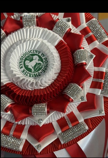 Rosette Tutorial: Handmade Ribbon Art