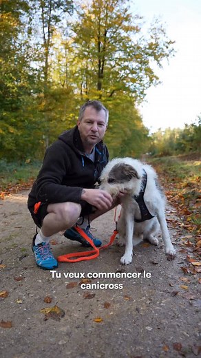 Collaboration 🍂🐶 Je t’explique comment démarrer le canicross avec ton chien en seulement 4 semaines. 👇 Coordination, écoute, traction, plaisir… chaque étape compte pour créer un vrai binôme. Le but, c’est de progresser ensemble, à ton rythme comme au sien 🐾 👉 Et avec un bon équipement @decathlon_outdog, tu peux vraiment pratiquer en sécurité et avec confort, dès le début. #Canicross #decathlonoutdog | Nico Veto