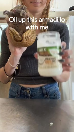 Caring for a Three-Banded Armadillo: Tips and Tricks