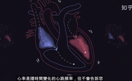 苹果手表(Apple Watch) 心电图ECG工作过程及原理分析