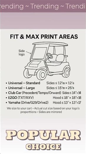 Golf Cart Logo Decal Installation Kit