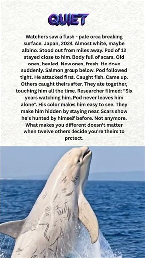 🐳 "Rare White Orca Bears Scars from Hunting Alone. His Pod Won't Let That Happen Again."