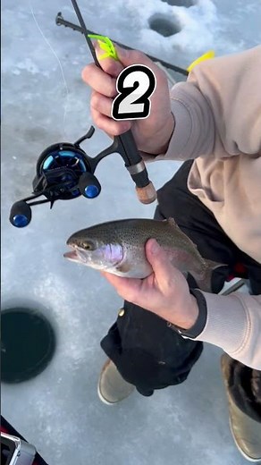 3 Main Benefits of Inline Ice Fishing Reels with the Piscifun ICX Frost 🧊🎣 #icefishing