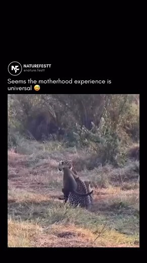 305K views · 70K reactions | Universal.  | Tony Baker | Facebook