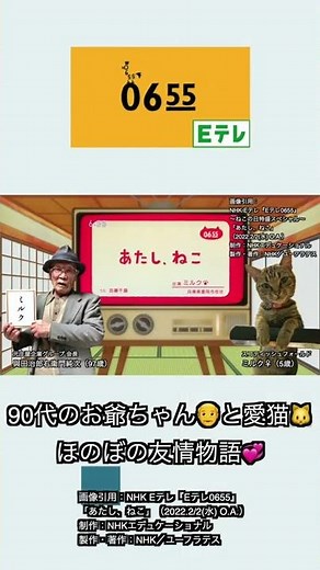 【ネコデミー賞㊗️受賞🏆】Eテレ0655『あたし、ねこ』（おれ、ねこ）出演！90代のお爺ちゃん＆愛猫ちゃんの日常！【スーパー猫の日】#shorts