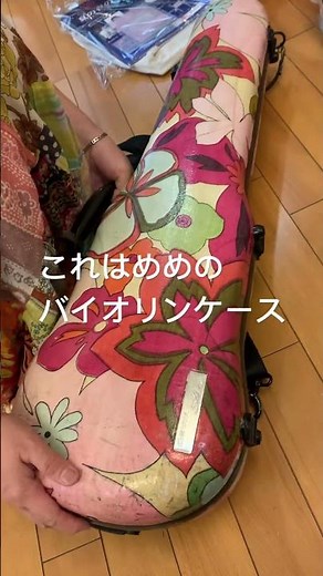 めちゃめちゃ可愛い手作りバイオリンケースとビオラケースの紹介 #recorder #リコーダー #音楽鑑賞教室 #バイオリン #ヴァイオリン