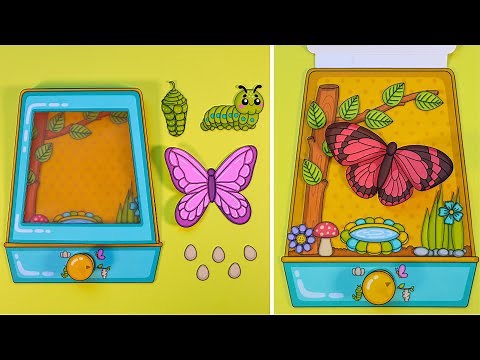 DIY Butterfly Life Circle | Step by step assembly instructions